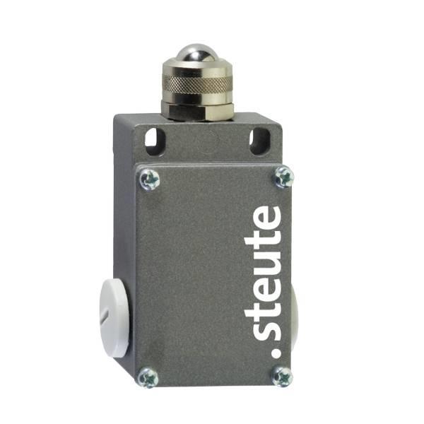 41003001 Steute   